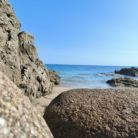 Le 3 Appartement Vue Mer Avec Jardin 100M De La Plage Et De La Thalasso 콩카르노 외부 사진