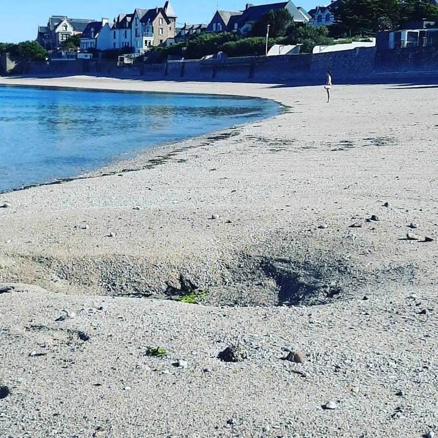 Le 3 Appartement Vue Mer Avec Jardin 100M De La Plage Et De La Thalasso 콩카르노 외부 사진